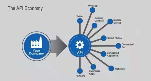 API即服务 驱动互联网科技创新的软硬件技术开发新范式